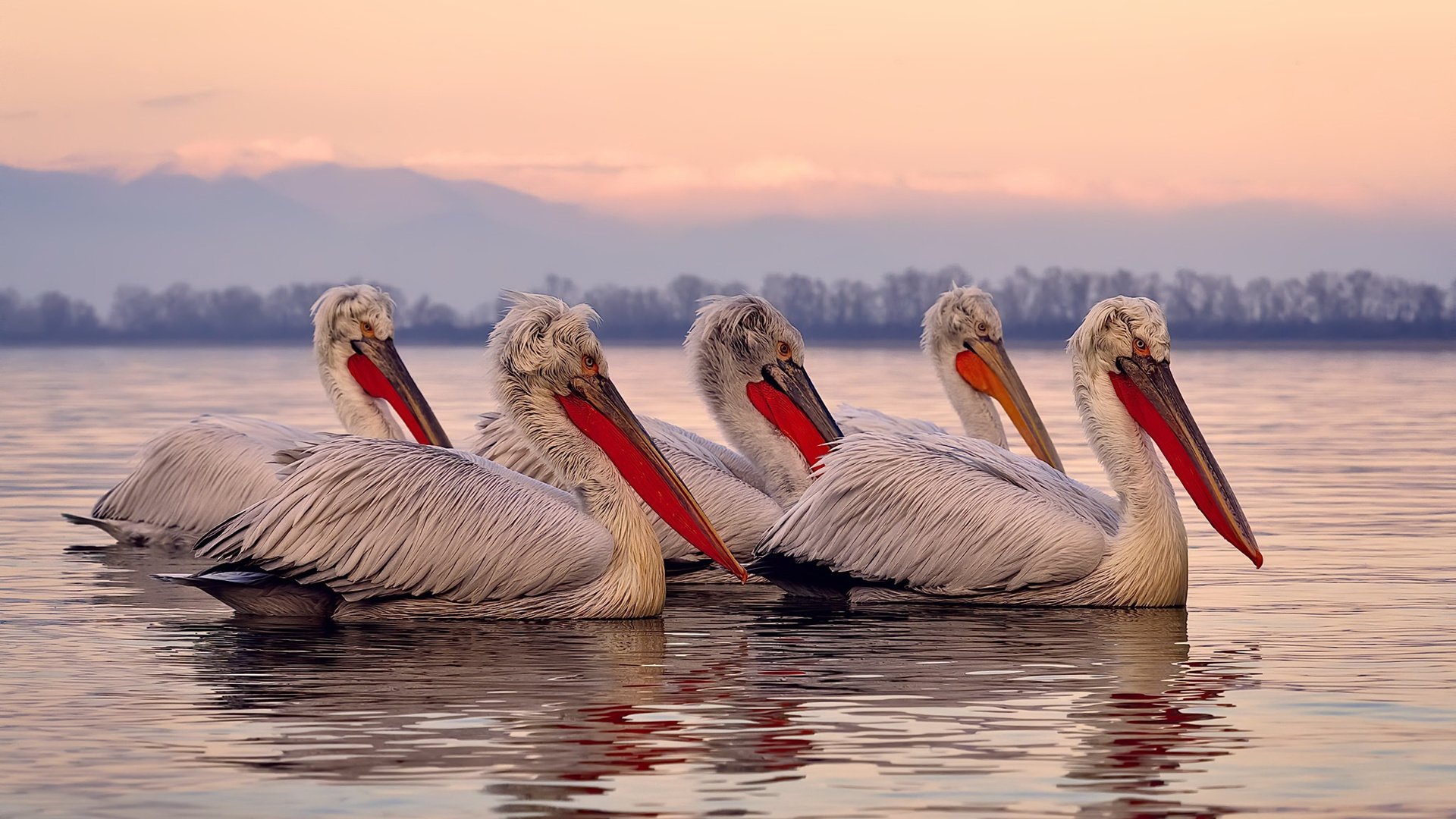 英格拉姆防守端锁死对手，凯尔特人险胜热火