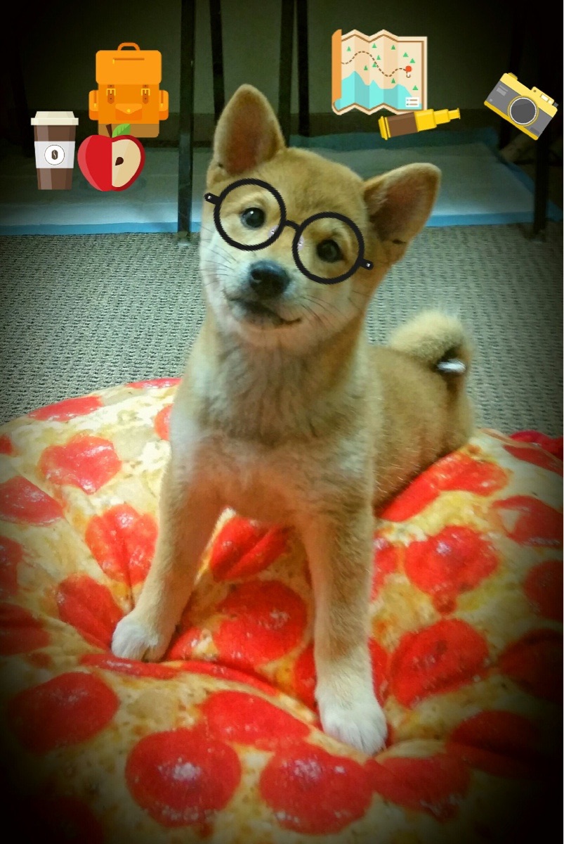 步行者末节逆袭公牛，恩比德统治攻防定乾坤