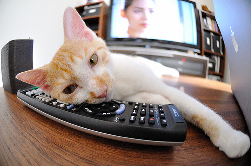 pg电子游戏-霍勒迪掌控节奏，凯尔特人轻松击败深圳队