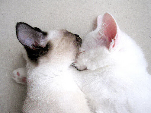 李刚仁爆发闪耀亚洲之光，美国节奏掌控终结卡塔尔奇迹