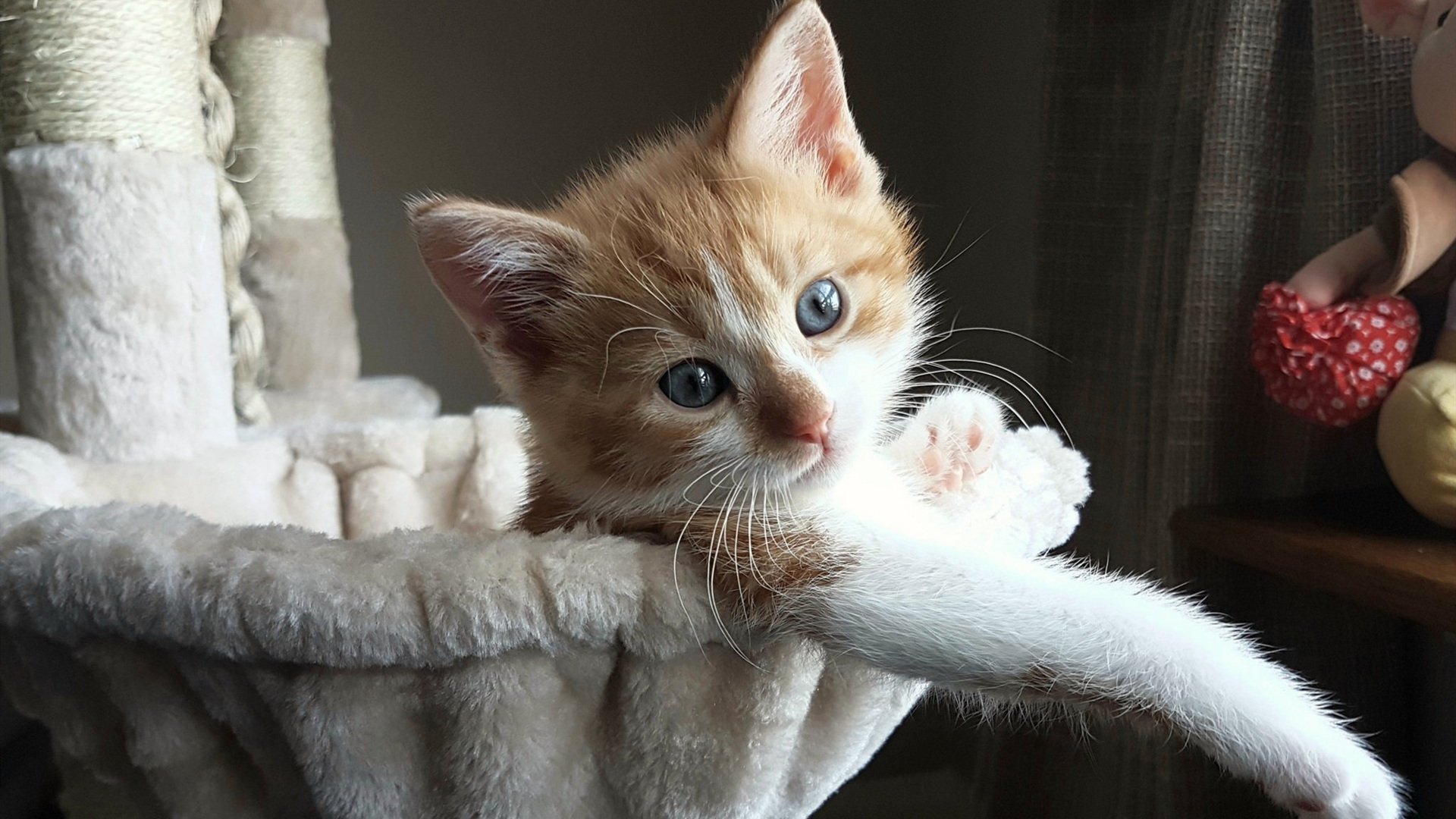 铁蹄踏碎王子公园，楚阿梅尼的战争与塞维利亚的梦魇