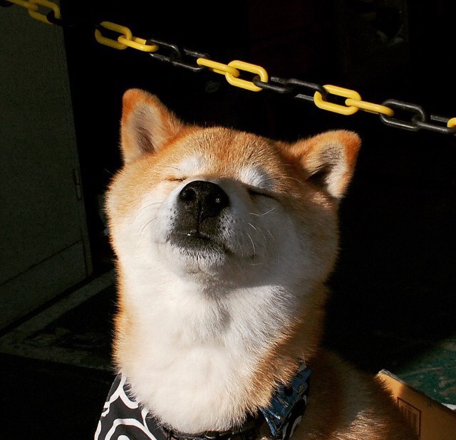 pg电子-跨界对决之夜，当比利时红魔遇见利物浦，佩德里照亮安菲尔德