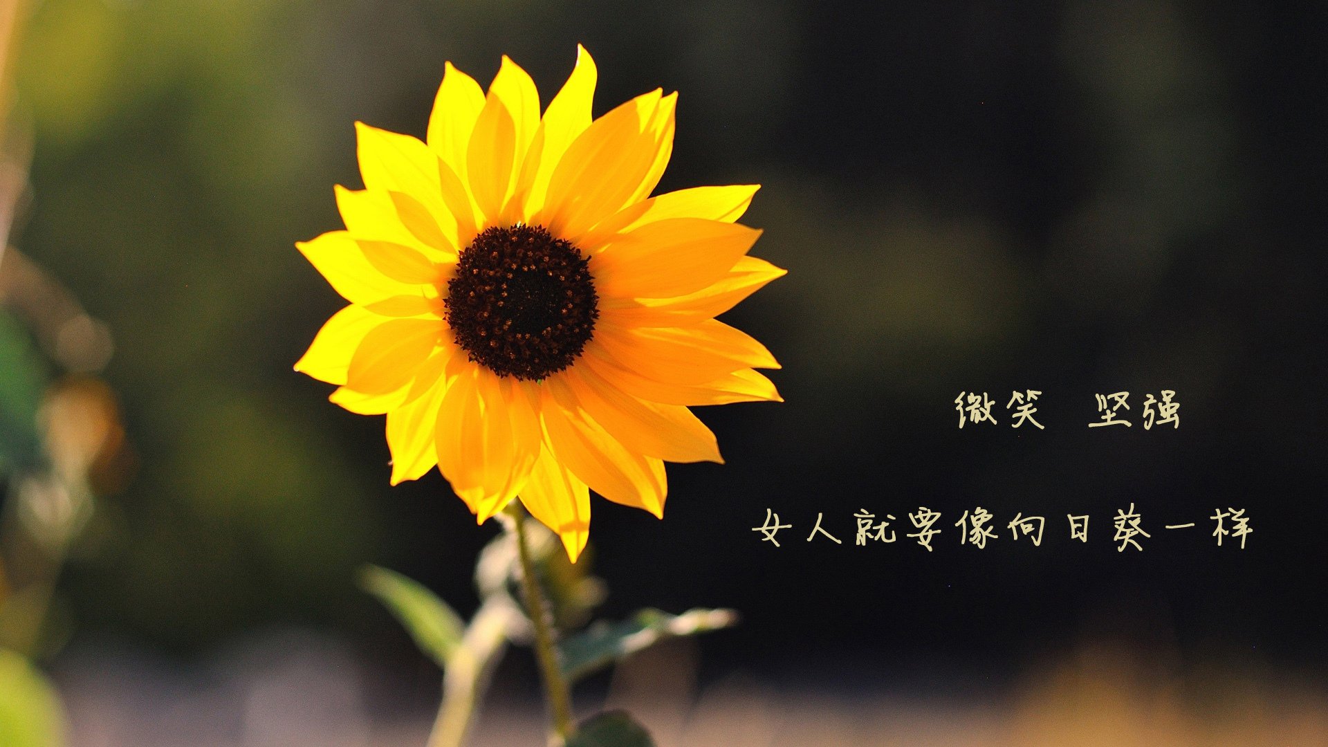 拉梅洛关键回合一锤定音,山西队险胜广厦队上演逆转好戏