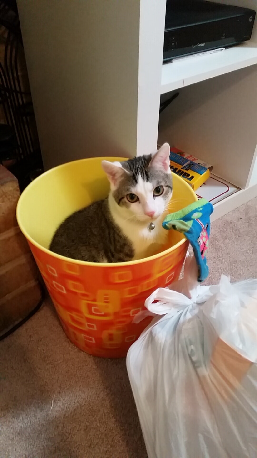 pg电子官网-魔术末节逆袭奇才，欧文式英雄点燃全场