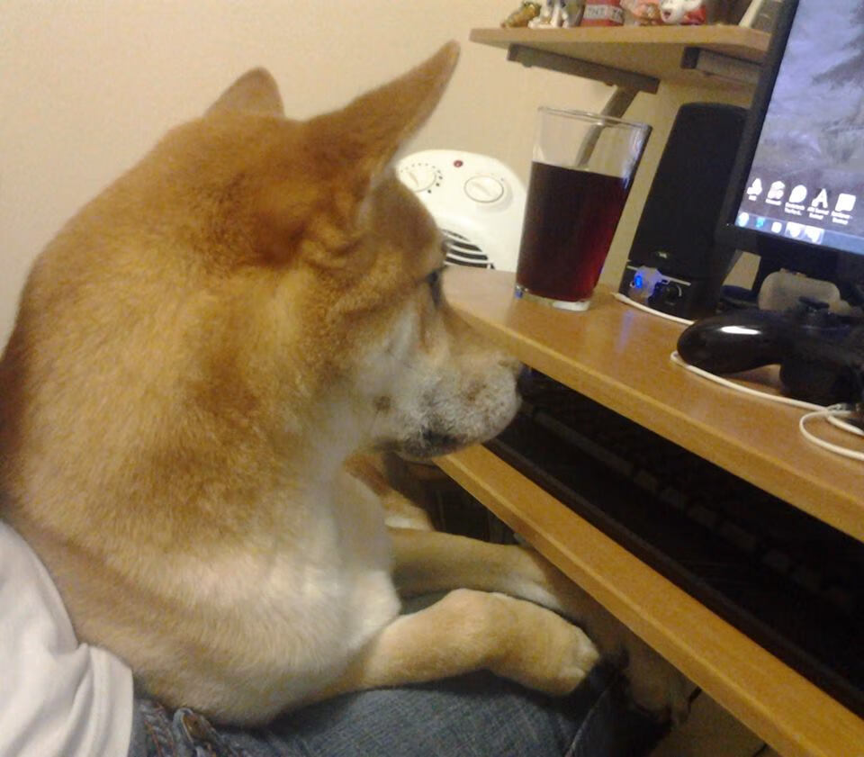 勇士擒黄蜂，德罗赞一剑封喉展冠军级实力