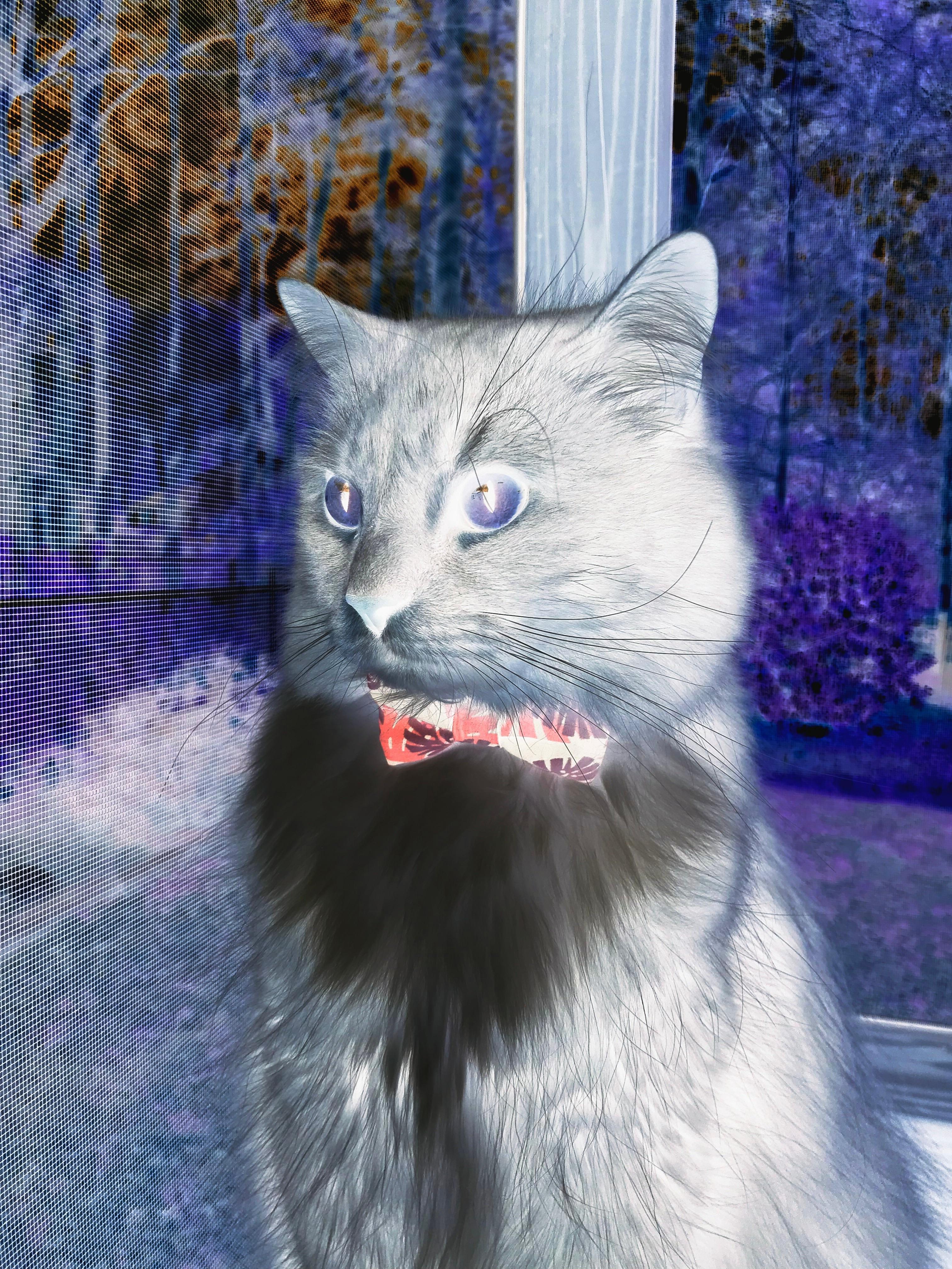 pg电子试玩网-恩比德全程高能输出，吉林队速胜骑士创跨界传奇