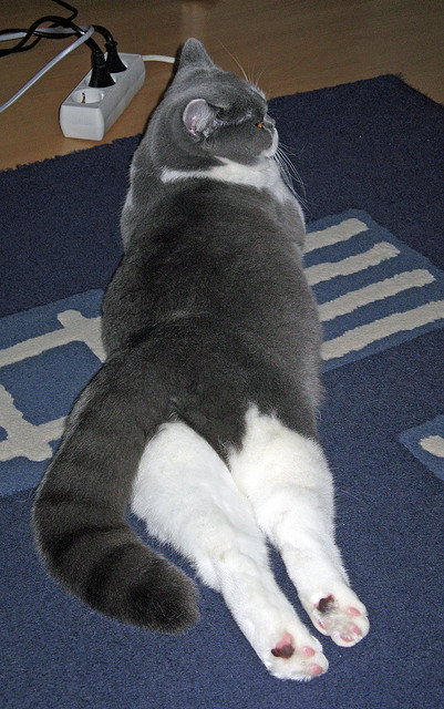 pg电子官网-布克爆发狂砍50分闪耀赛场，魔术轻取湖人提前终结悬念