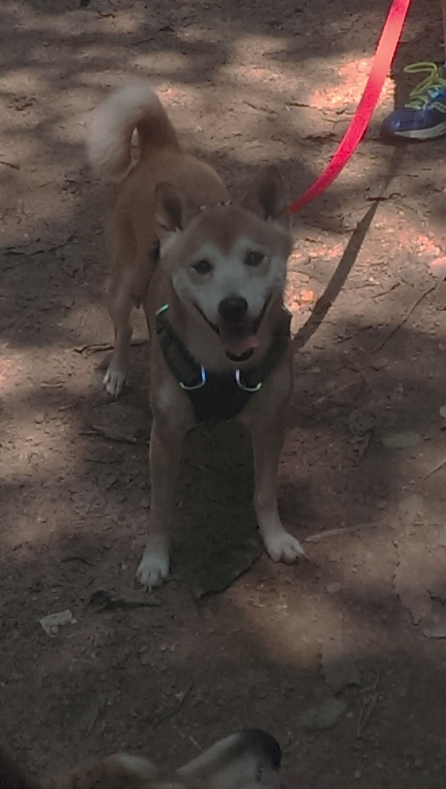 欧冠级别的对决,克利夫兰骑士如何在最后两分钟完成铁血绞杀