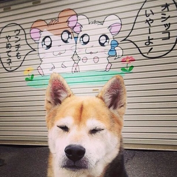 逆境中的无声领袖，苏亚雷斯一剑封喉，尤文跨越摩洛哥险关