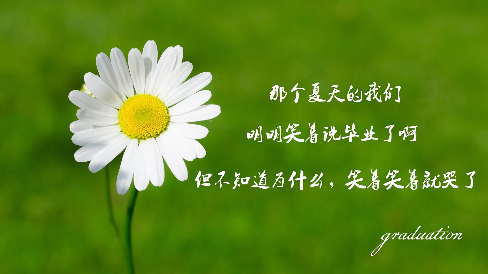 波斯铁骑横扫安第斯雄鹰，2026世界杯半决赛伊朗创奇迹，孙兴慜无愧亚洲之光